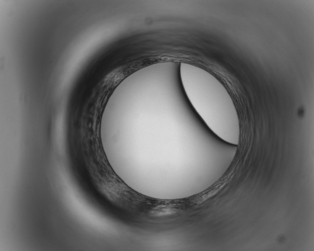 X0000100410381200806060931