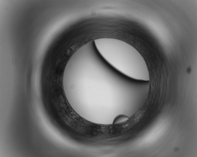 X0000100410383200806060931