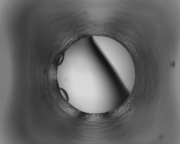 X0000100410384200806060931