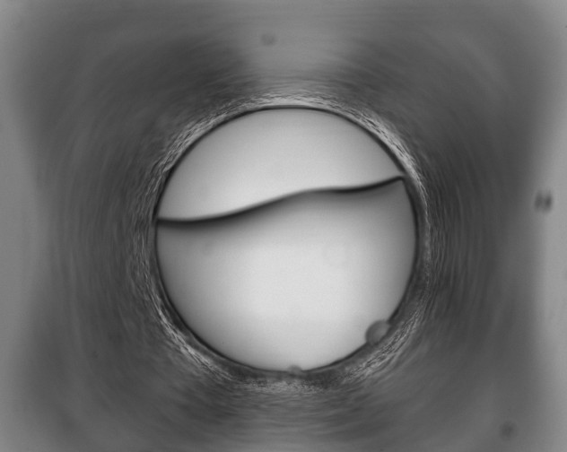 X0000100410385200806060930