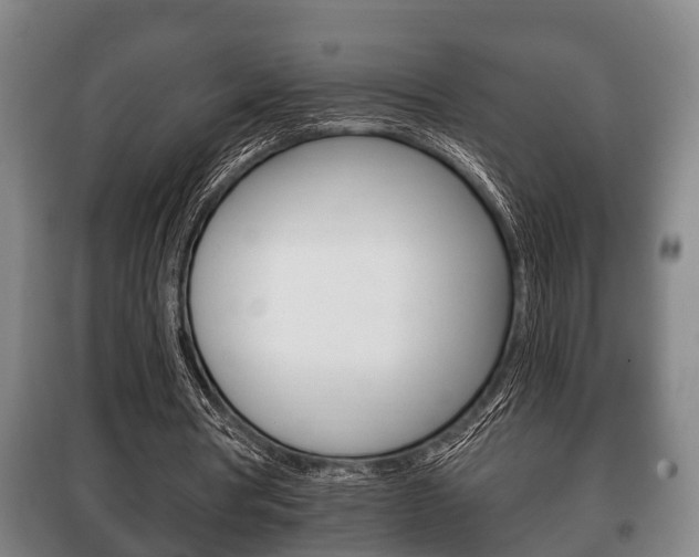 X0000100410386200806060930