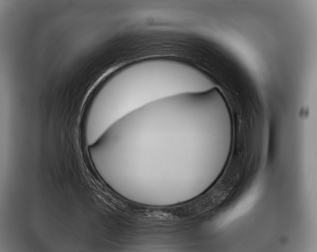 X0000100410387200806060930