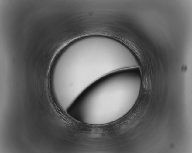 X0000100410388200806060930
