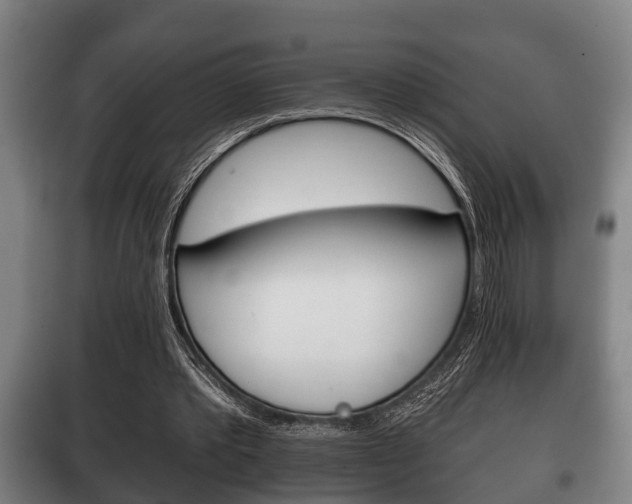 X0000100410389200806060930
