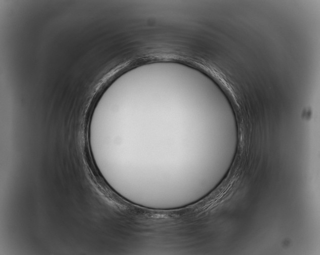 X0000100410390200806060930