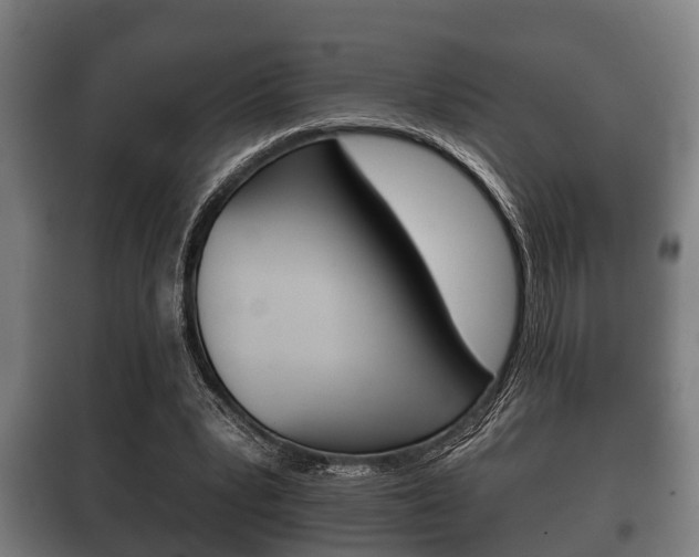 X0000100410391200806060930