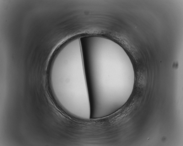 X0000100410392200806060930