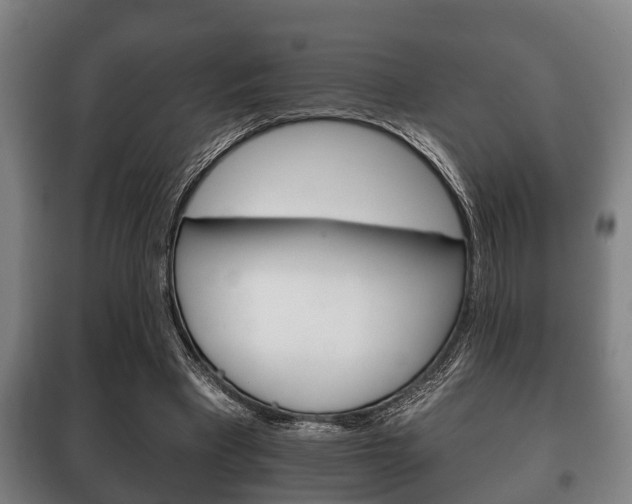 X0000100410393200806060930