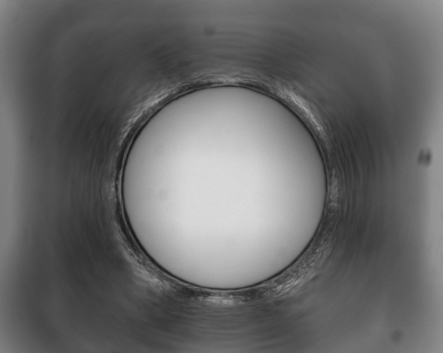 X0000100410394200806060930