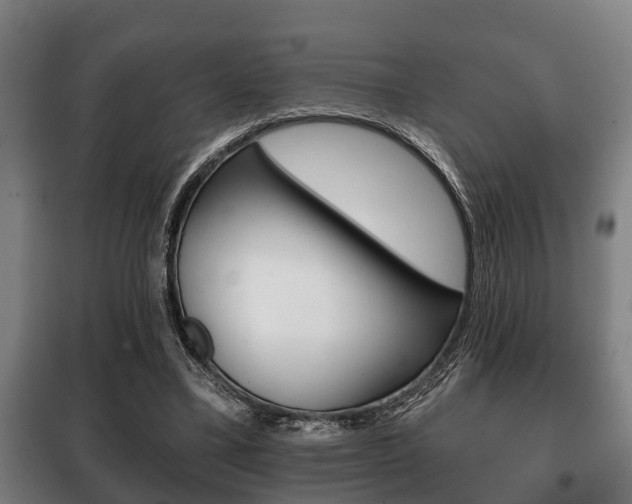 X0000100410395200806060930