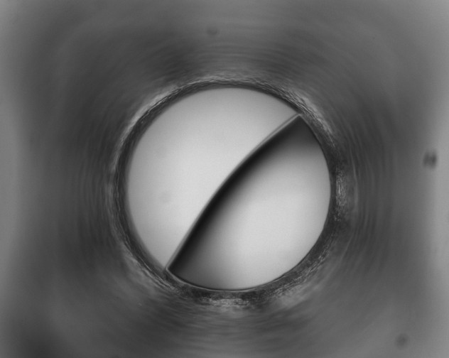 X0000100410396200806060930