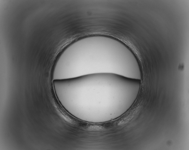 X0000100410397200806060930