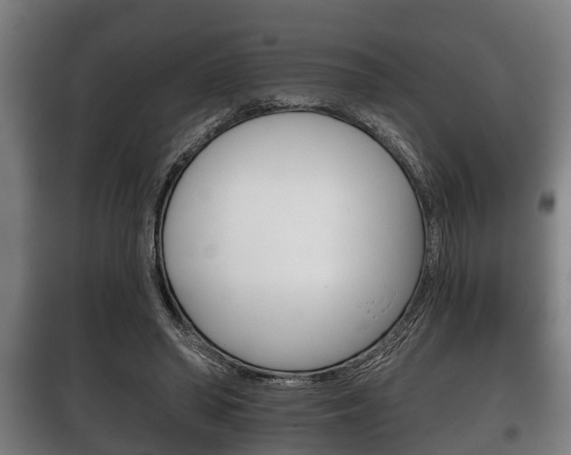 X0000100410398200806060930