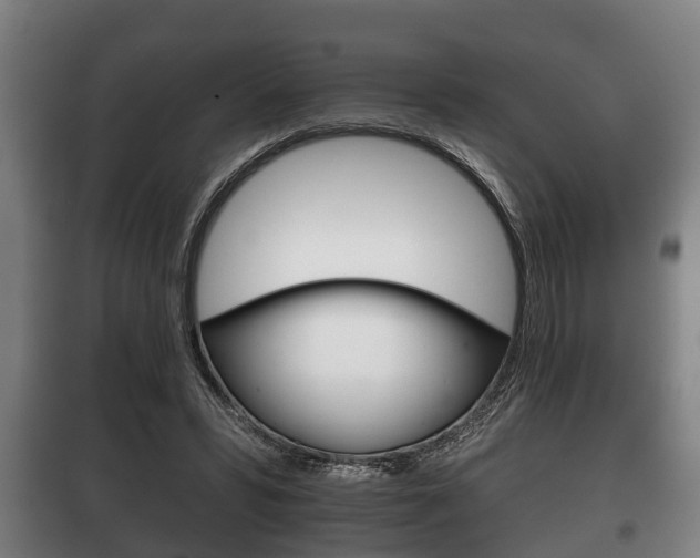 X0000100410399200806060930