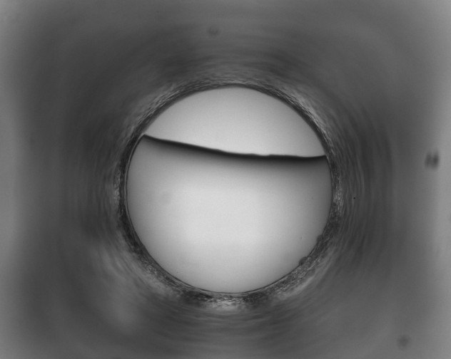 X0000100410402200806060930