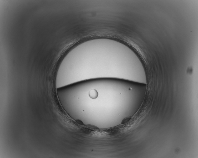 X0000100410403200806060930