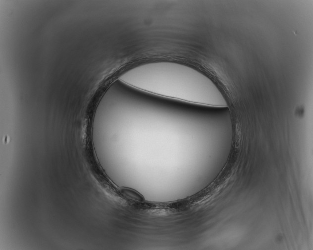 X0000100410404200806060930