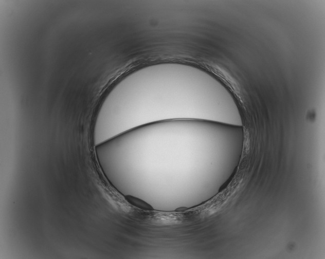 X0000100410405200806060930