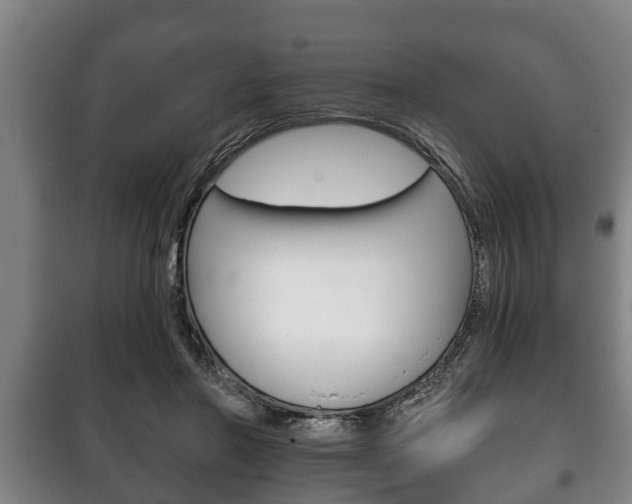 X0000100410406200806060930