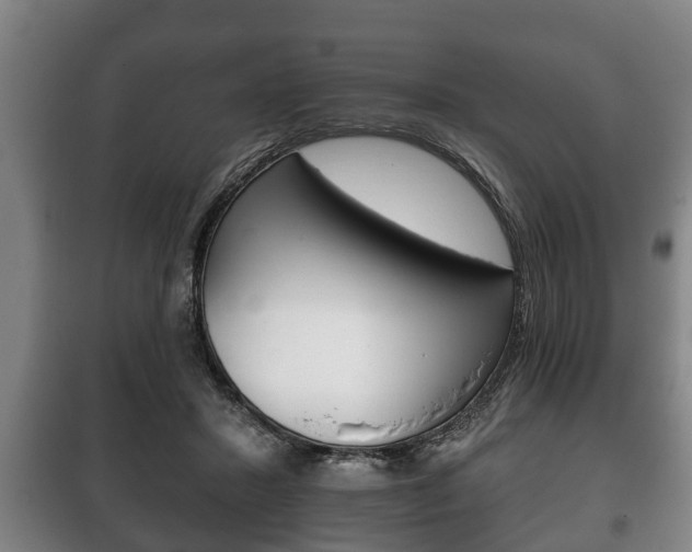 X0000100410407200806060930