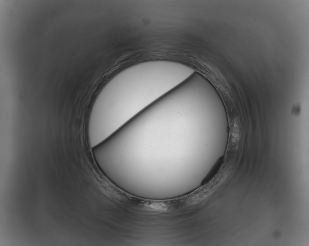 X0000100410409200806060930