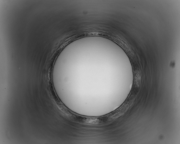 X0000100410410200806060930