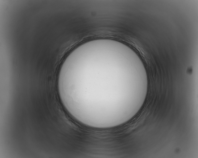 X0000100410411200806060930