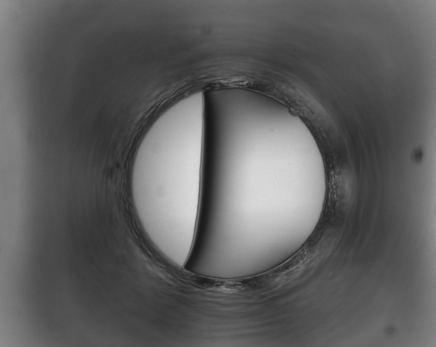 X0000100410412200806060930