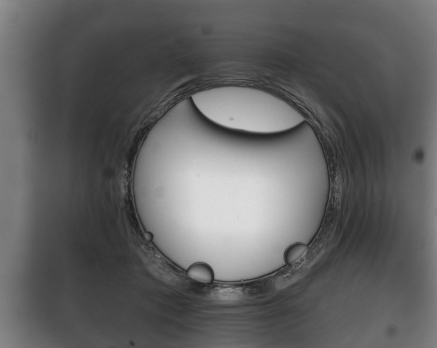X0000100410413200806060930