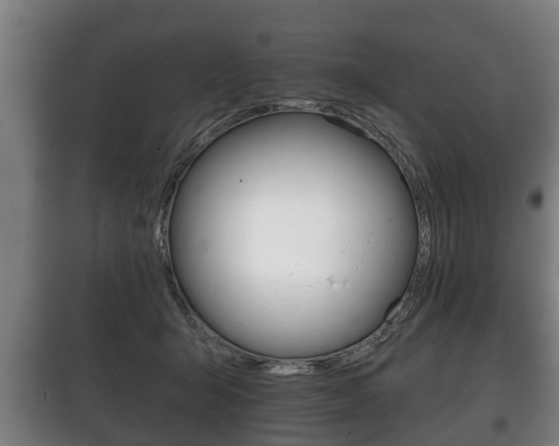 X0000100410415200806060930