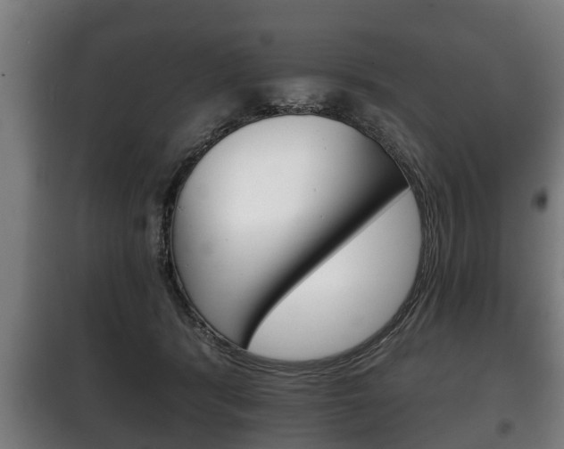 X0000100410416200806060930