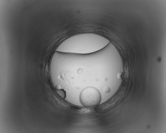 X0000100410418200806060929