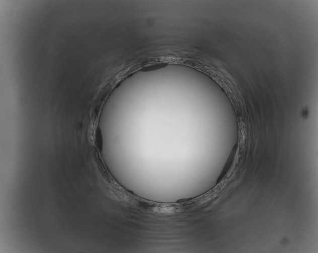 X0000100410419200806060929