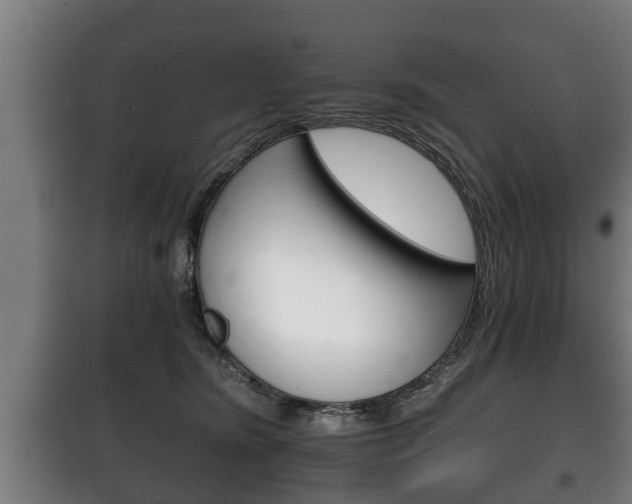 X0000100410420200806060929