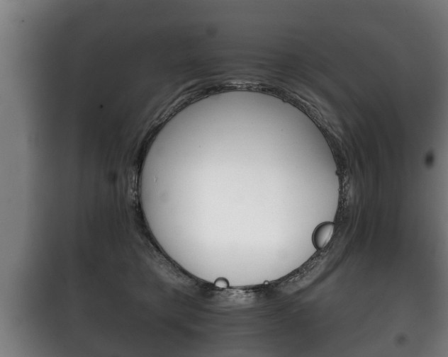 X0000100410421200806060929