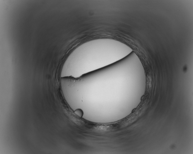 X0000100410422200806060929