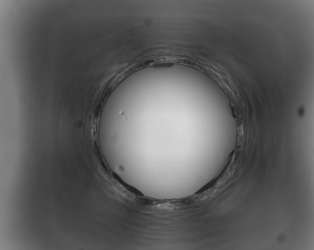X0000100410423200806060929