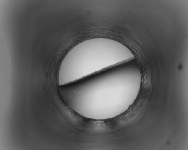 X0000100410424200806060929