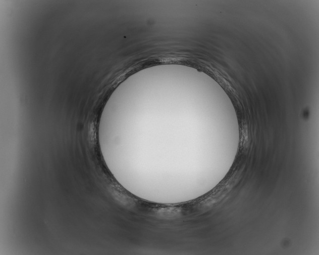 X0000100410426200806060929