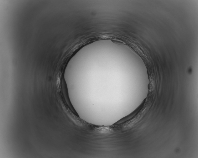 X0000100410427200806060929