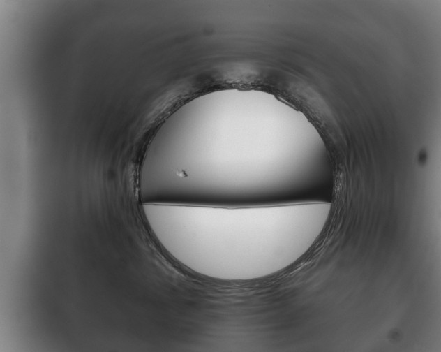 X0000100410428200806060929