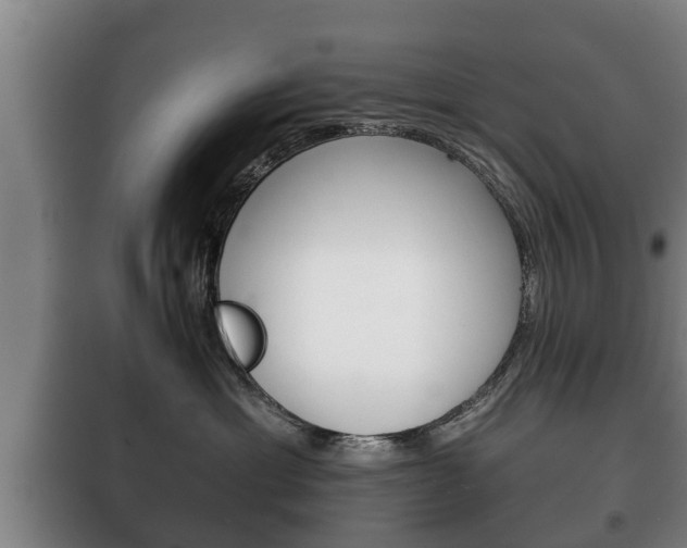 X0000100410429200806060929