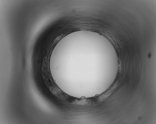 X0000100410430200806060929