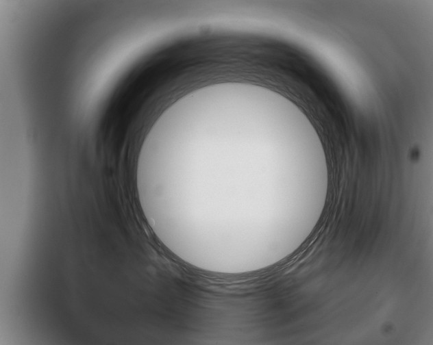 X0000100410431200806060929