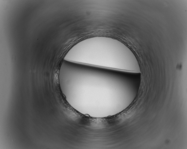 X0000100410432200806060929