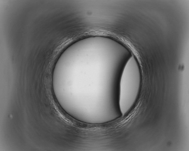 X0000100410433200806060928