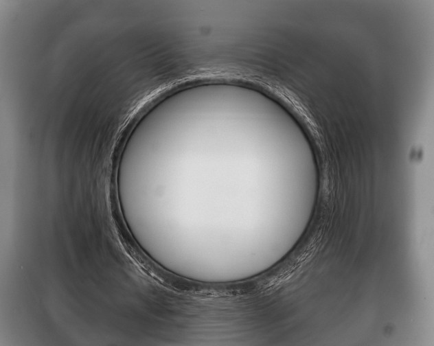 X0000100410434200806060928