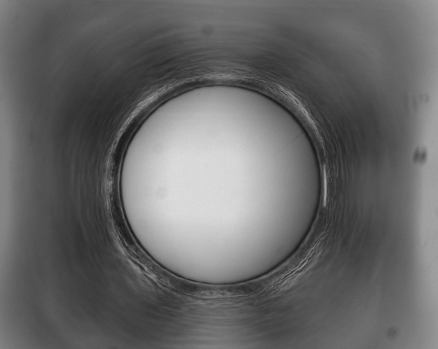 X0000100410435200806060928