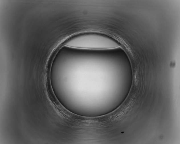 X0000100410436200806060929