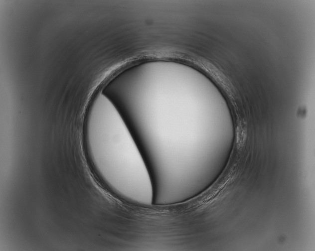 X0000100410438200806060929